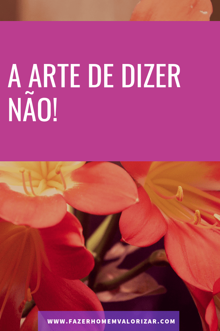 dizer não
