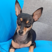 57dd9b0c68ee735d3df93f502291aee1e188c8945666114f3b6850784effd022