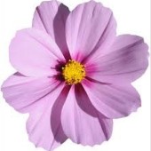 646bcb2565b12bbe5a513ac627d568bc187392ccae74be66a3a49941bd53a106