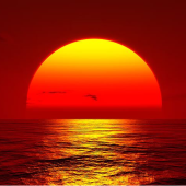 81b8e779a2298314e68811b2d7a55dfa030437dcc036fe0279e9aa728d737ddb