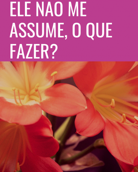 ele não me assume