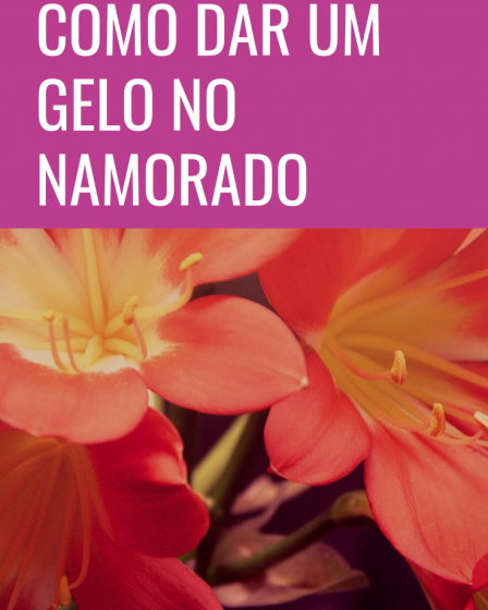 gelo no namorado