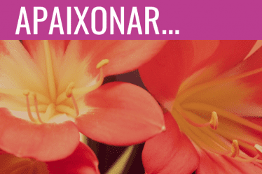 apaixonar