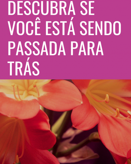 sendo
