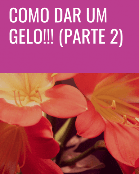 gelo