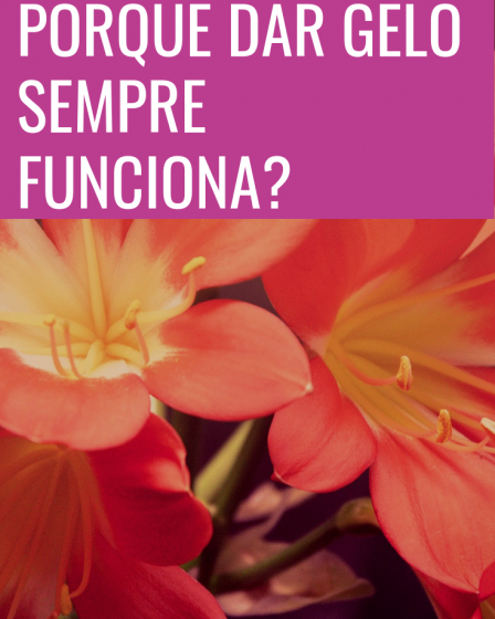 dar gelo funciona
