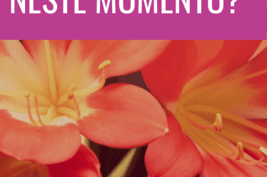 momento