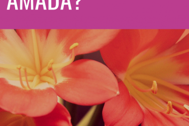 amada