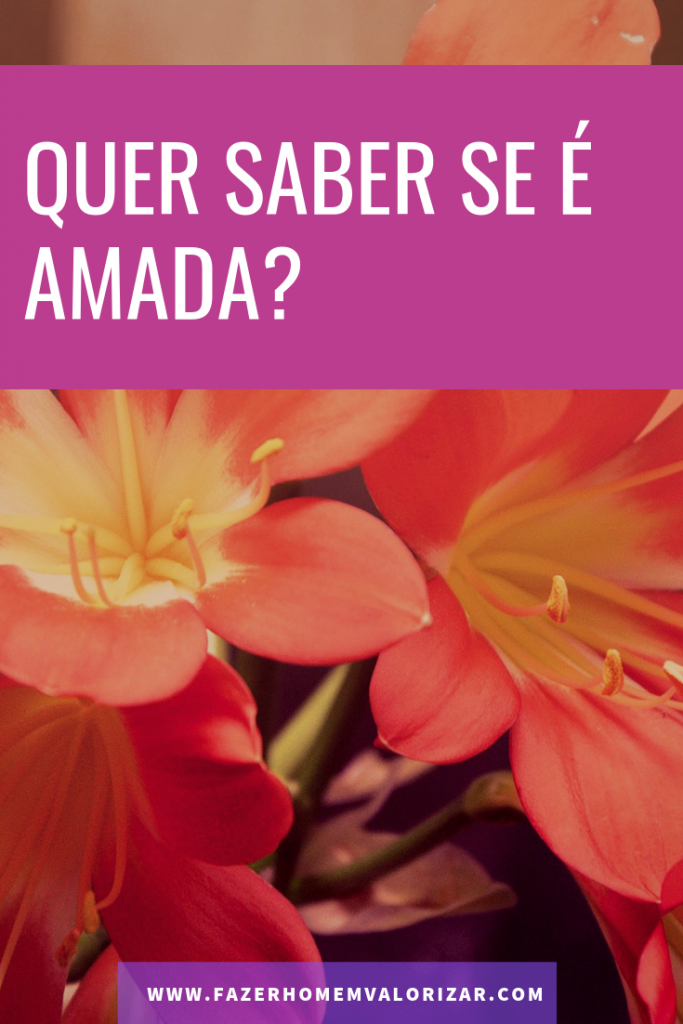 amada