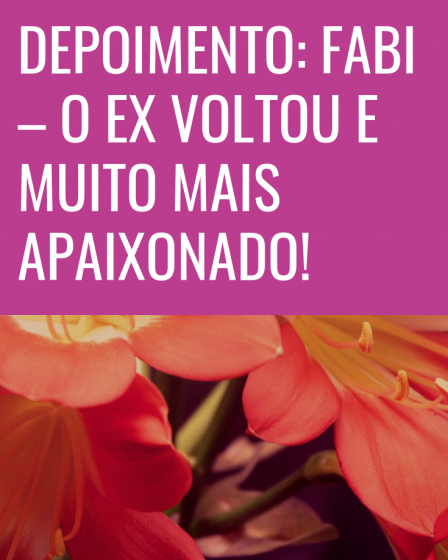 ex voltou