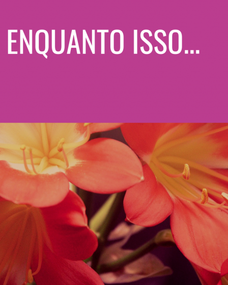 enquanto isso