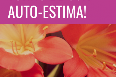 tudo gira