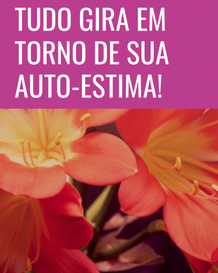 tudo gira