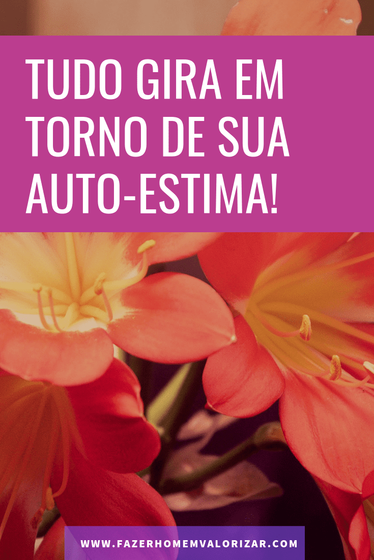 tudo gira