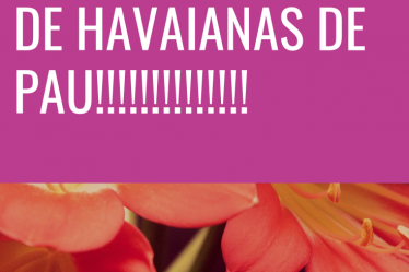 vai levar