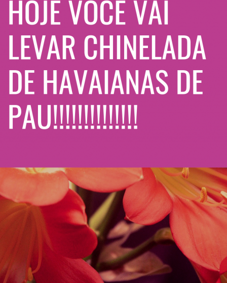 vai levar