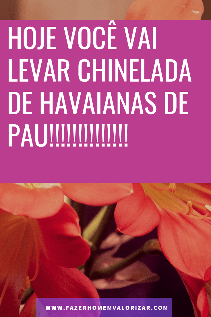 vai levar