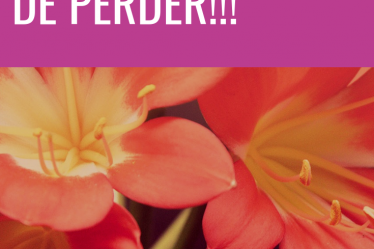 medo de perder