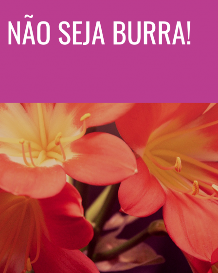 não seja burra