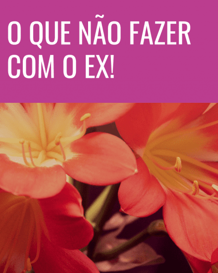 não fazer com o ex