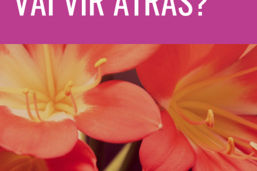 vai vir atrás