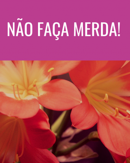 não faça merda