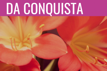 lançamento ebook