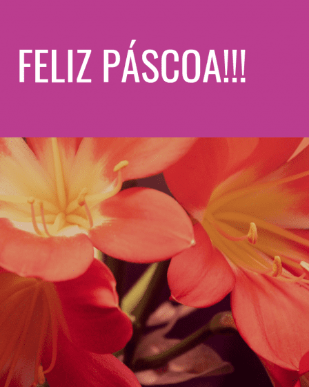 feliz páscoa