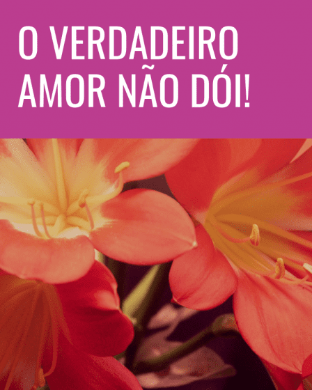amor não dói