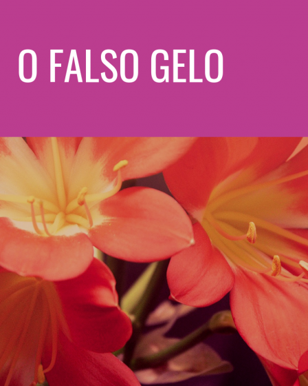 falso gelo