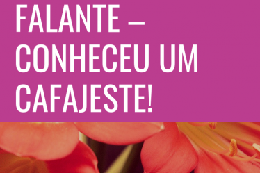 conheceu um cafajeste
