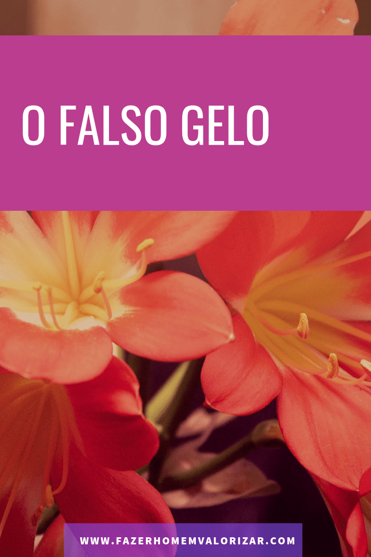 falso gelo
