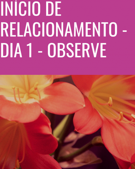 início de relacionamento