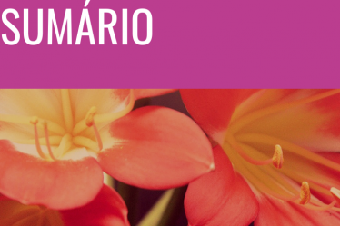 ebook maratona da conquista