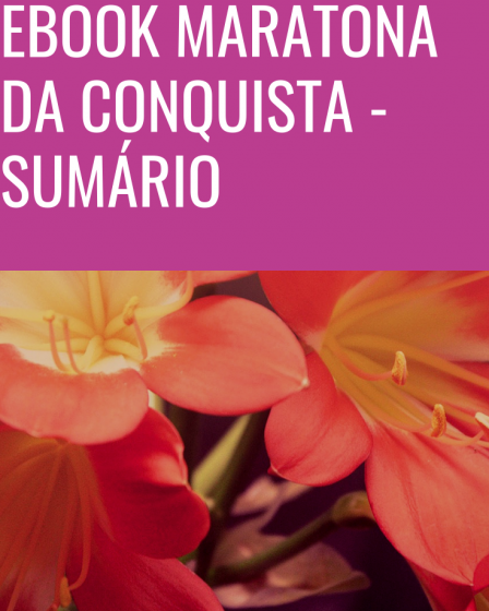ebook maratona da conquista