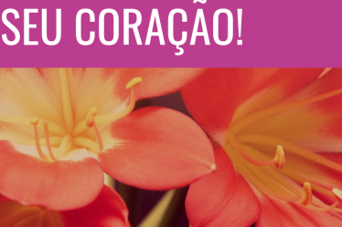 siga sempre