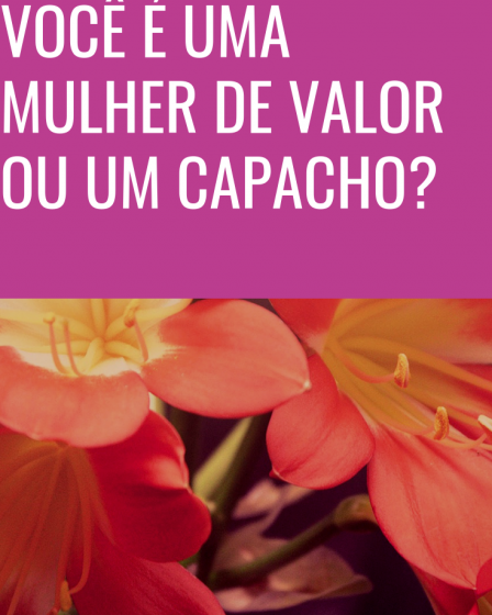 mulher de valor
