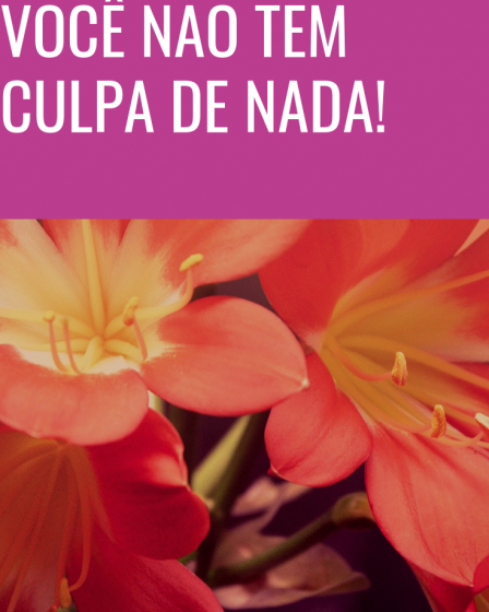 você não tem culpa