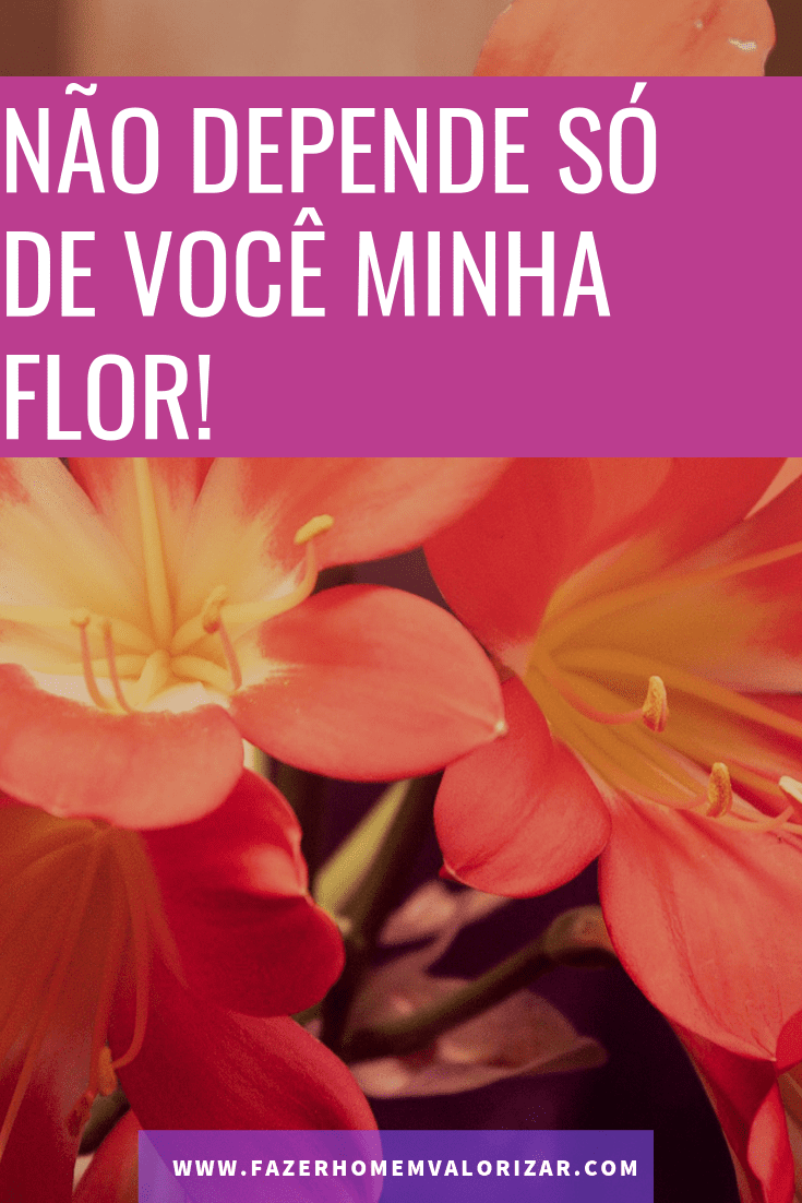 só de você