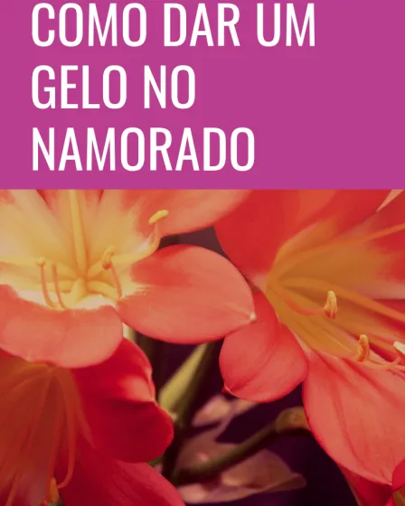 gelo no namorado
