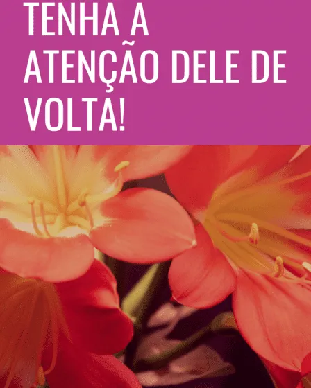 atenção dele de volta