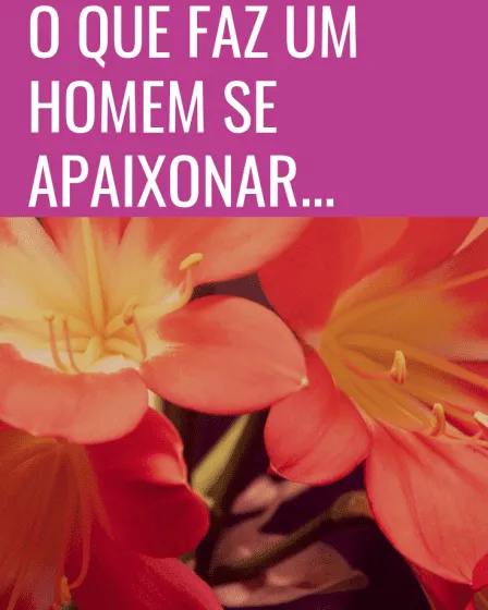 apaixonar