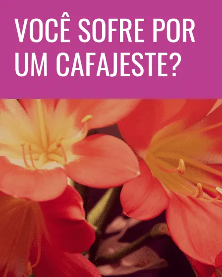 cafajeste