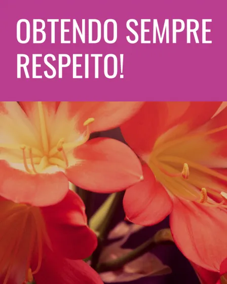 respeito