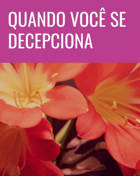 decepciona