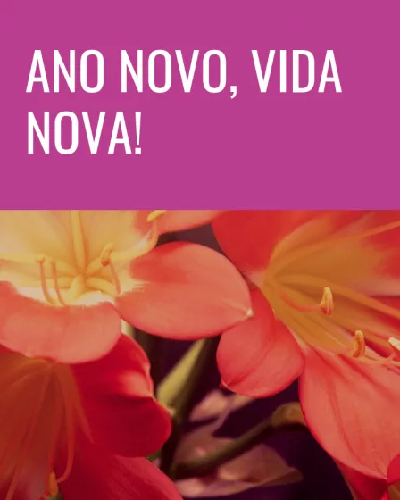 novo