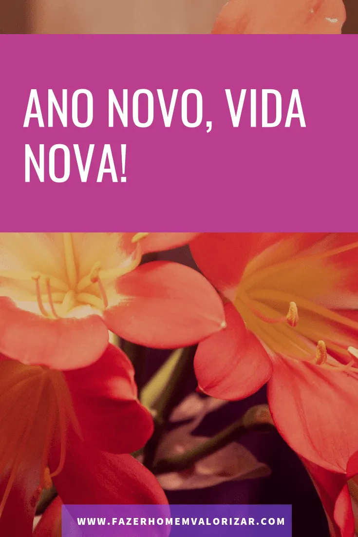 novo