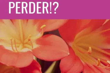 perder
