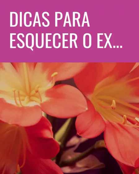 esquecer o ex