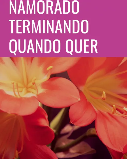 namorado terminando